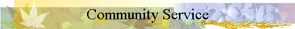 Community Service