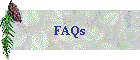 FAQs